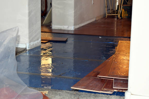 Professional Flood Damage Repair technician working in Crestline, OH